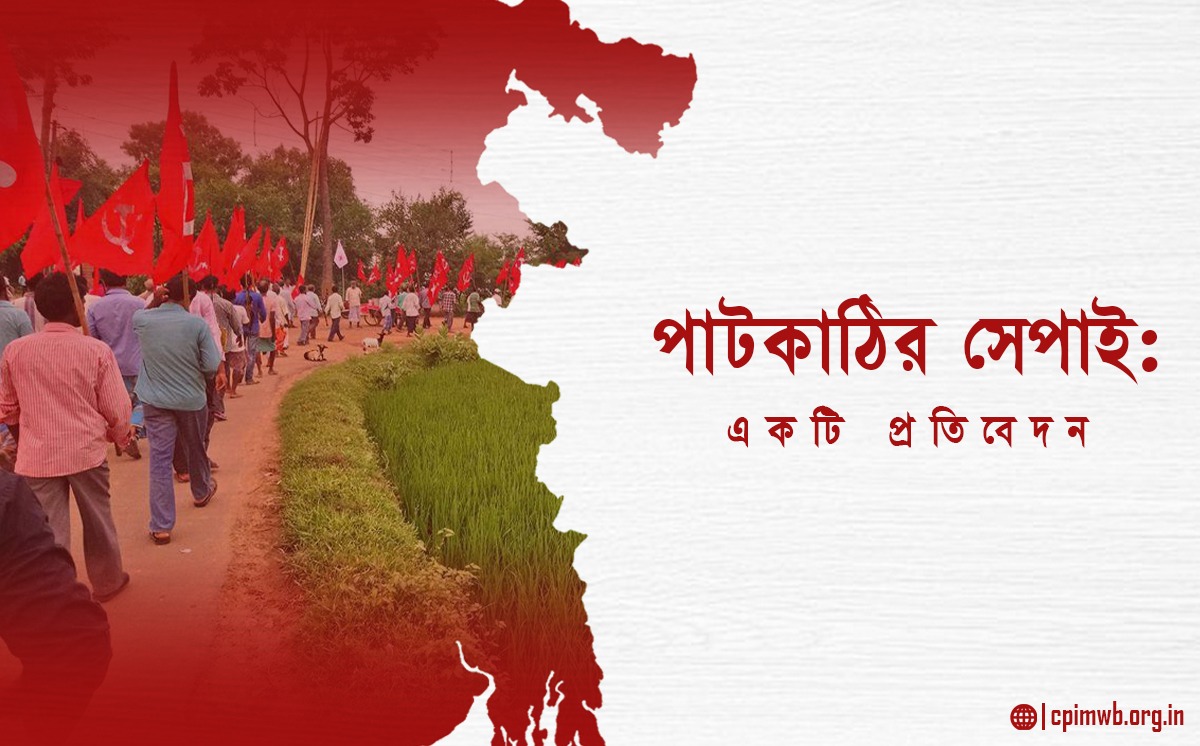 পাটকাঠির সেপাই